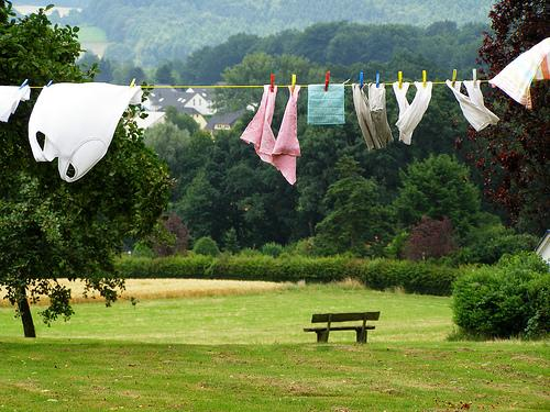 Hang your laundry outside! – Realfarmer Inc.