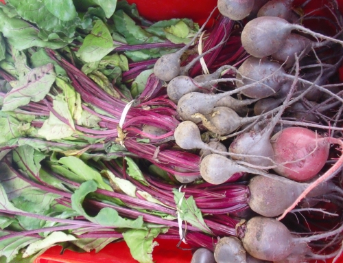 Roasted Beets and Sauteed Beet Greens